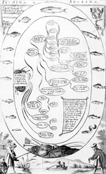 Ein Leitfaden zum Angeln und Fischen, aus 